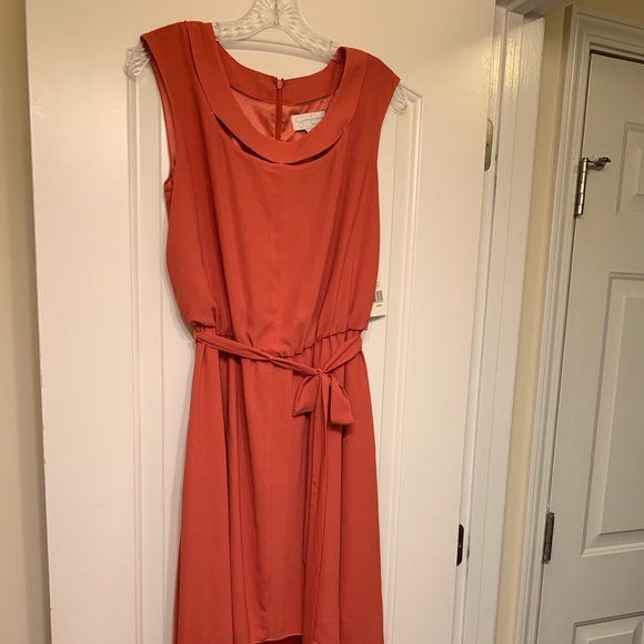 NWT Jessica Simpson Dress Size 10 - Picture 3 of 8